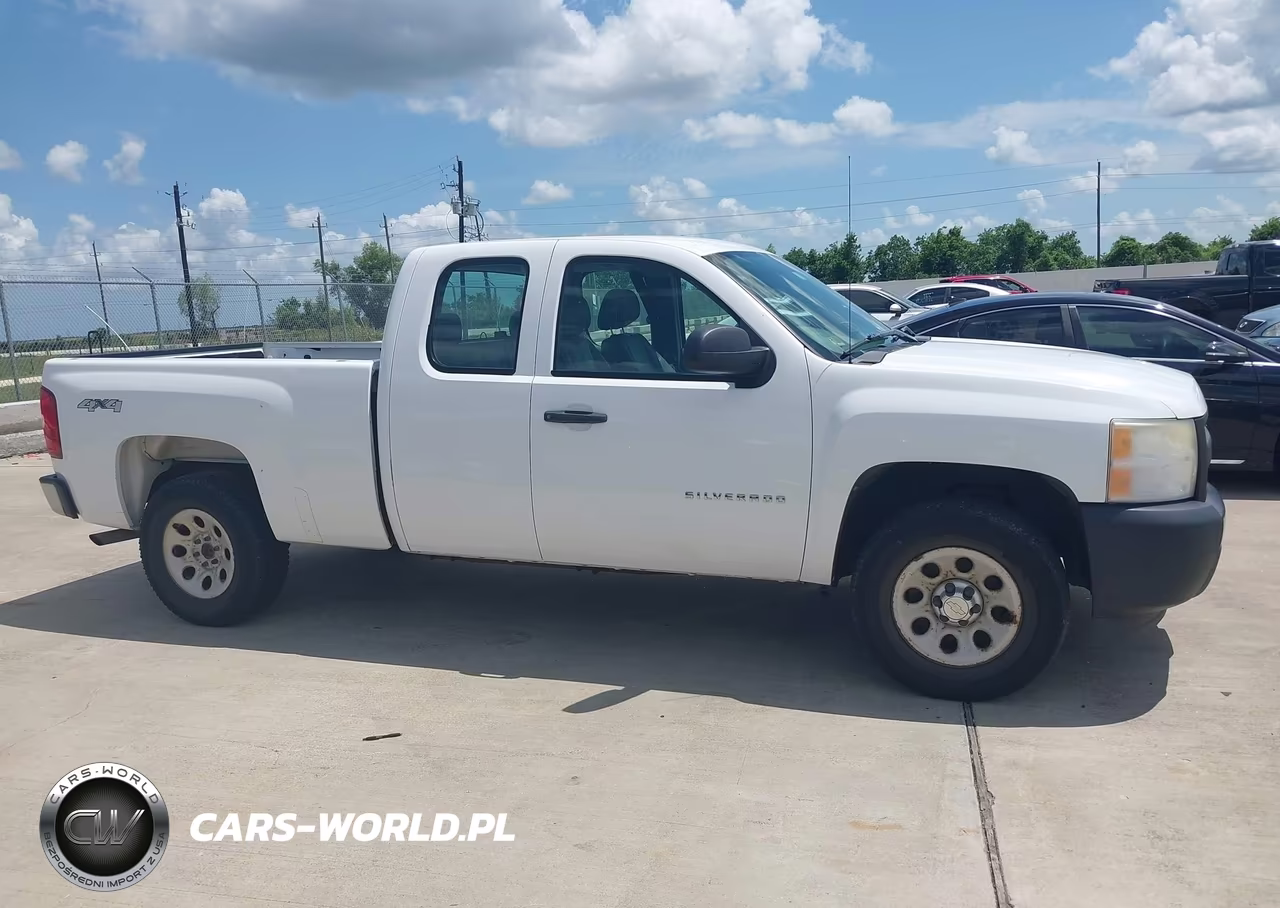 2010 Chevrolet Silverado 1500 Work Truck VIN:1GCSKPE36AZ298811 - 13
