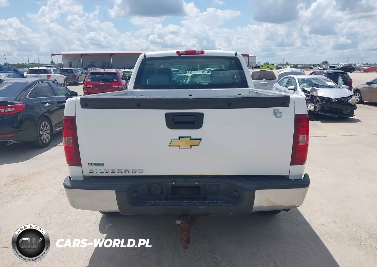 2010 Chevrolet Silverado 1500 Work Truck VIN:1GCSKPE36AZ298811 - 16