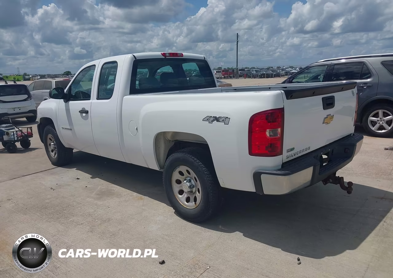 2010 Chevrolet Silverado 1500 Work Truck VIN:1GCSKPE36AZ298811 - 3
