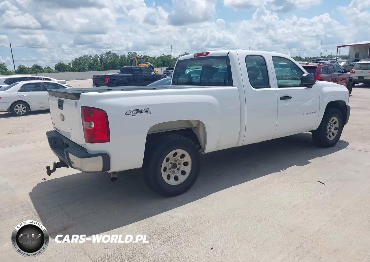 2010 Chevrolet Silverado 1500 Work Truck VIN:1GCSKPE36AZ298811 - 4