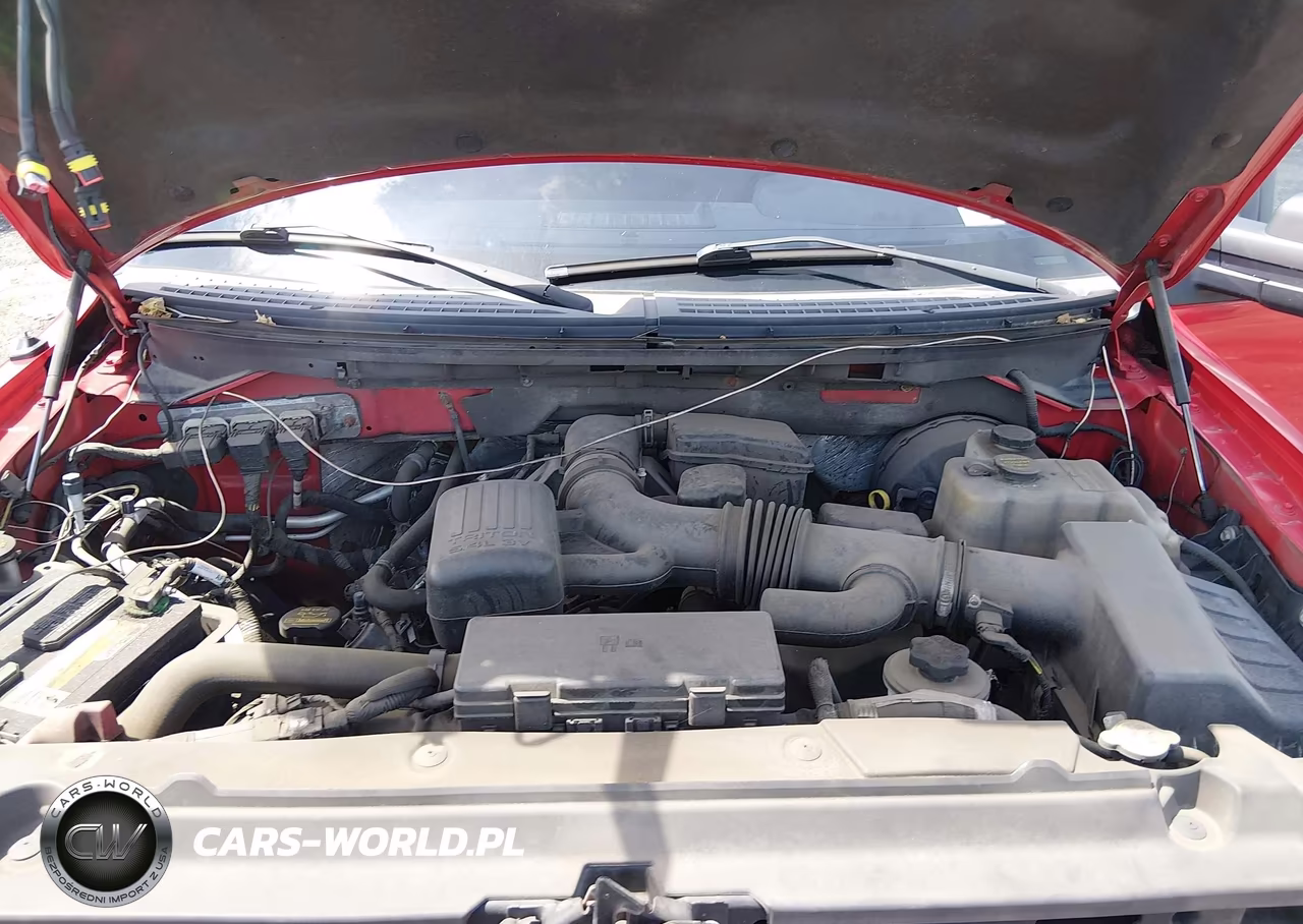 2009 Ford F-150 Fx4-Lariat-Xl-Xlt VIN:1FTPX14V19FA25621 - 10
