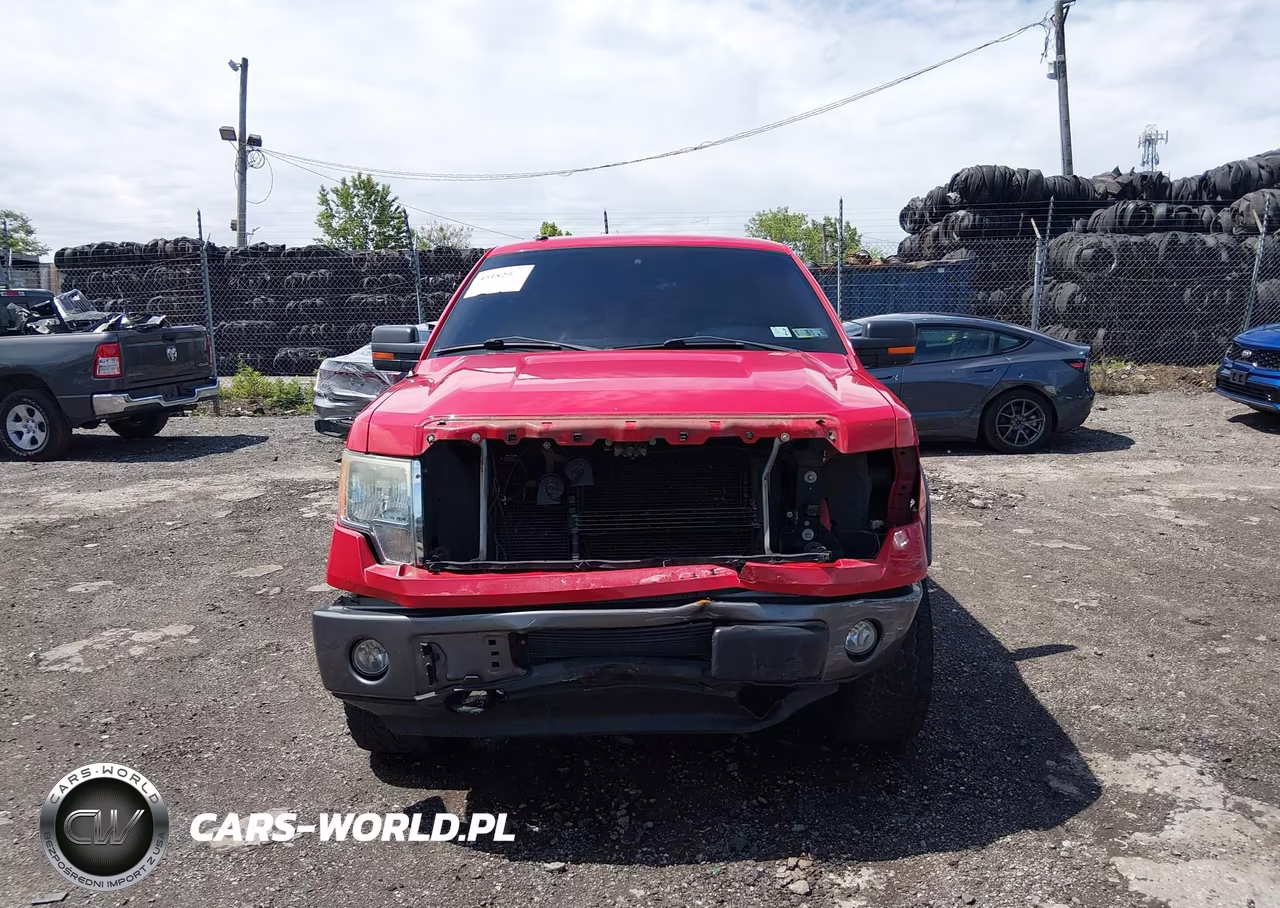 2009 Ford F-150 Fx4-Lariat-Xl-Xlt VIN:1FTPX14V19FA25621 - 12