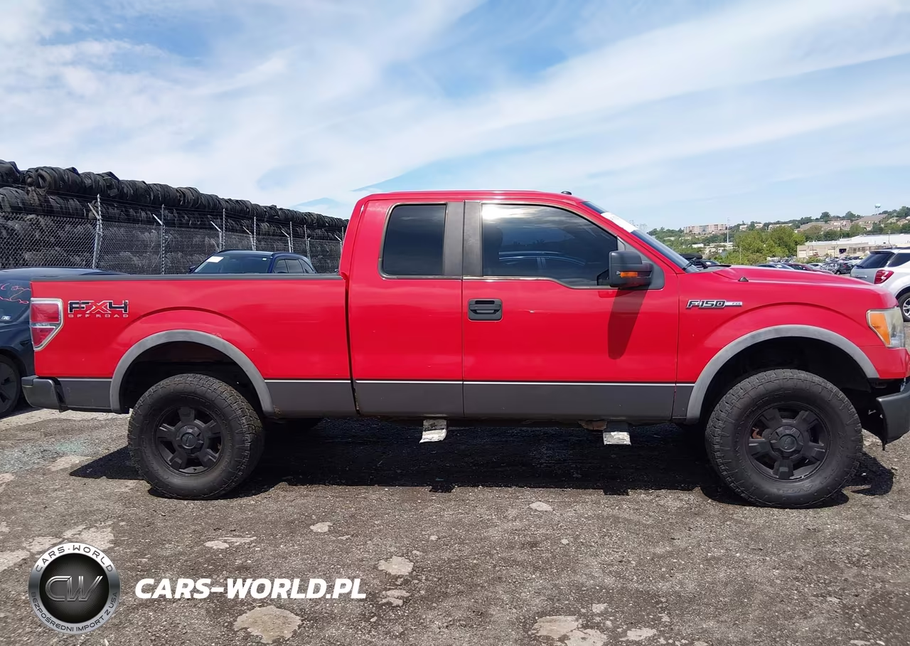 2009 Ford F-150 Fx4-Lariat-Xl-Xlt VIN:1FTPX14V19FA25621 - 13