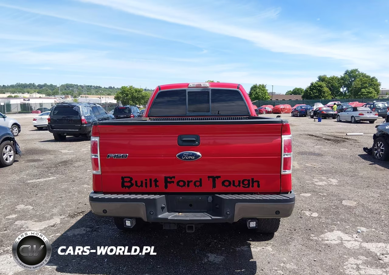 2009 Ford F-150 Fx4-Lariat-Xl-Xlt VIN:1FTPX14V19FA25621 - 16
