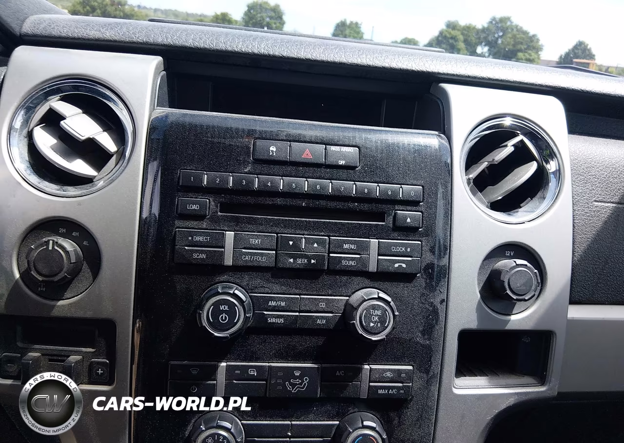 2009 Ford F-150 Fx4-Lariat-Xl-Xlt VIN:1FTPX14V19FA25621 - 19