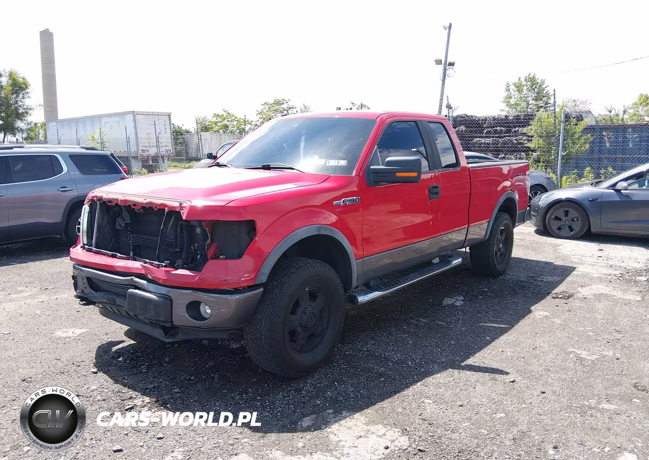 2009 Ford F-150 Fx4-Lariat-Xl-Xlt VIN:1FTPX14V19FA25621 - 2