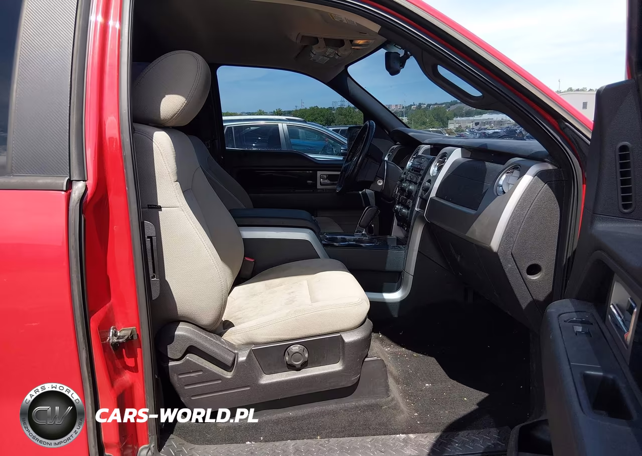 2009 Ford F-150 Fx4-Lariat-Xl-Xlt VIN:1FTPX14V19FA25621 - 5