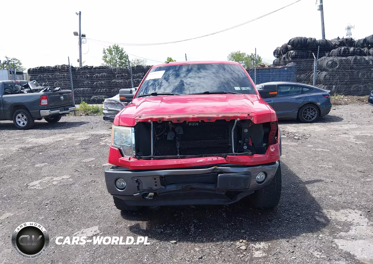 2009 Ford F-150 Fx4-Lariat-Xl-Xlt VIN:1FTPX14V19FA25621 - 6