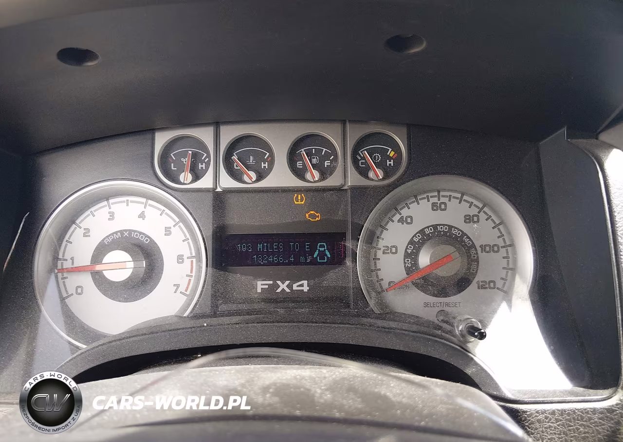 2009 Ford F-150 Fx4-Lariat-Xl-Xlt VIN:1FTPX14V19FA25621 - 7