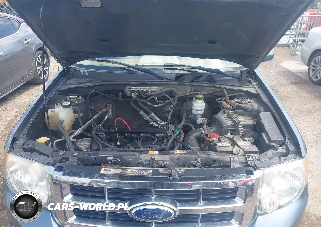2011 Ford Escape Limited VIN:1FMCU0E76BKB45893 - 10