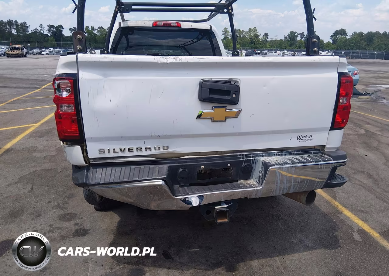 2019 Chevrolet Silverado 2500Hd Wt VIN:1GC1KREY6KF135324 - 18