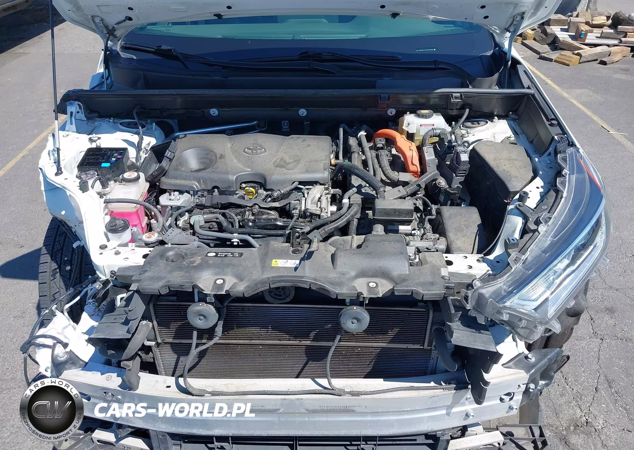 2019 Toyota Rav4 Hybrid Xse VIN:JTMEWRFV4KD506468 - 10