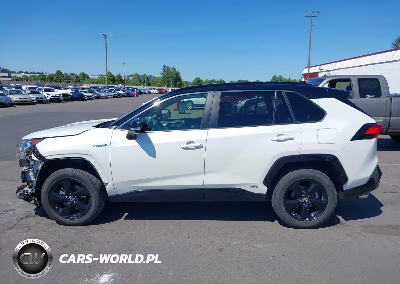 2019 Toyota Rav4 Hybrid Xse VIN:JTMEWRFV4KD506468 - 15