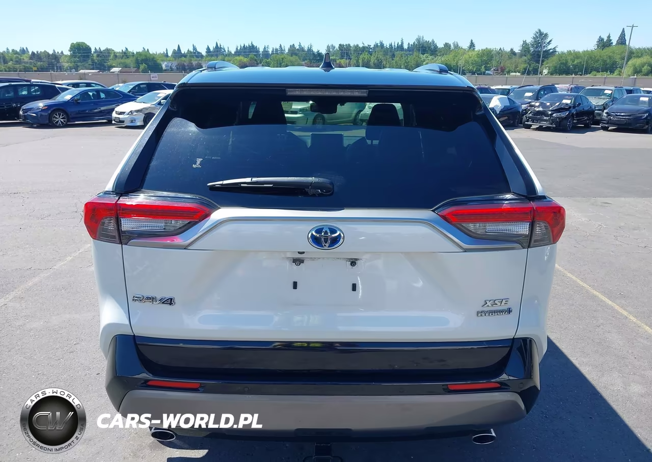 2019 Toyota Rav4 Hybrid Xse VIN:JTMEWRFV4KD506468 - 17