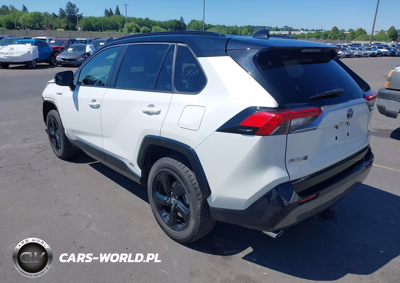 2019 Toyota Rav4 Hybrid Xse VIN:JTMEWRFV4KD506468 - 3