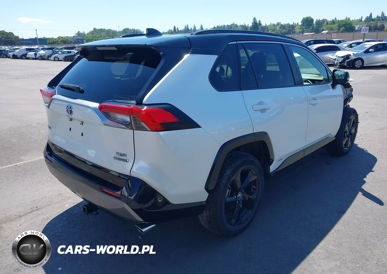 2019 Toyota Rav4 Hybrid Xse VIN:JTMEWRFV4KD506468 - 4