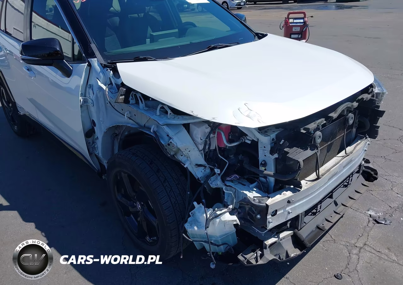 2019 Toyota Rav4 Hybrid Xse VIN:JTMEWRFV4KD506468 - 6