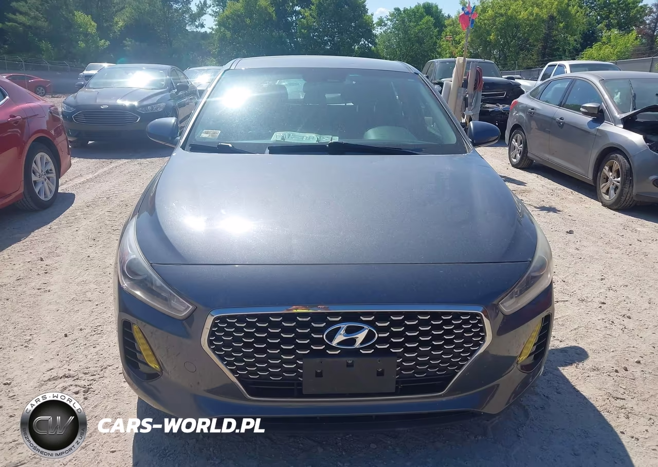 2019 Hyundai Elantra Gt VIN:KMHH35LE9KU094336 - 12