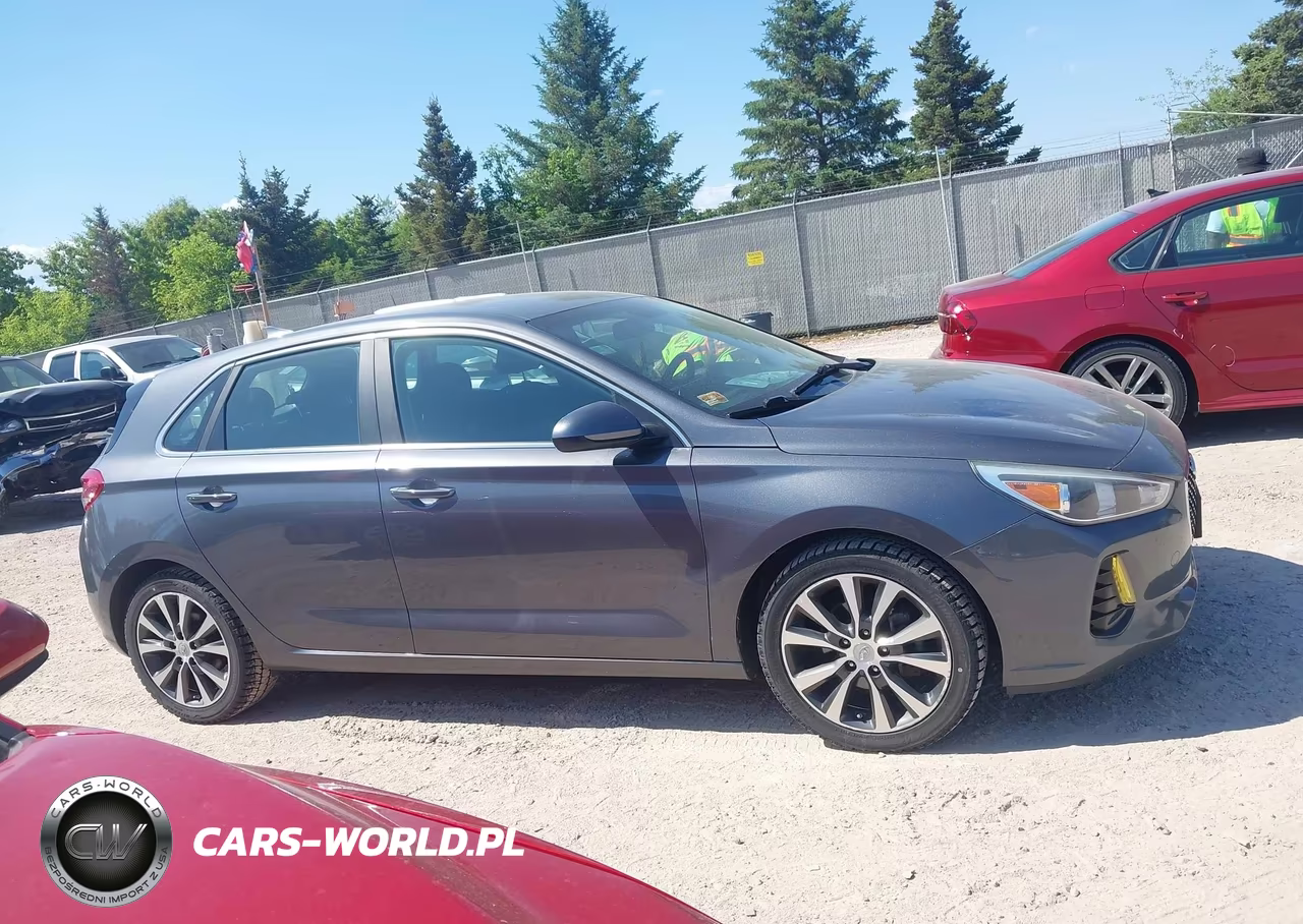 2019 Hyundai Elantra Gt VIN:KMHH35LE9KU094336 - 13