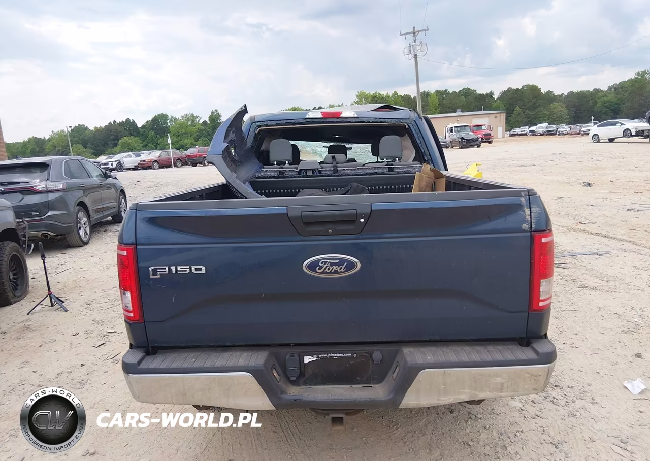 2016 Ford F-150 Xl VIN:1FTEX1EP5GFD15106 - 15