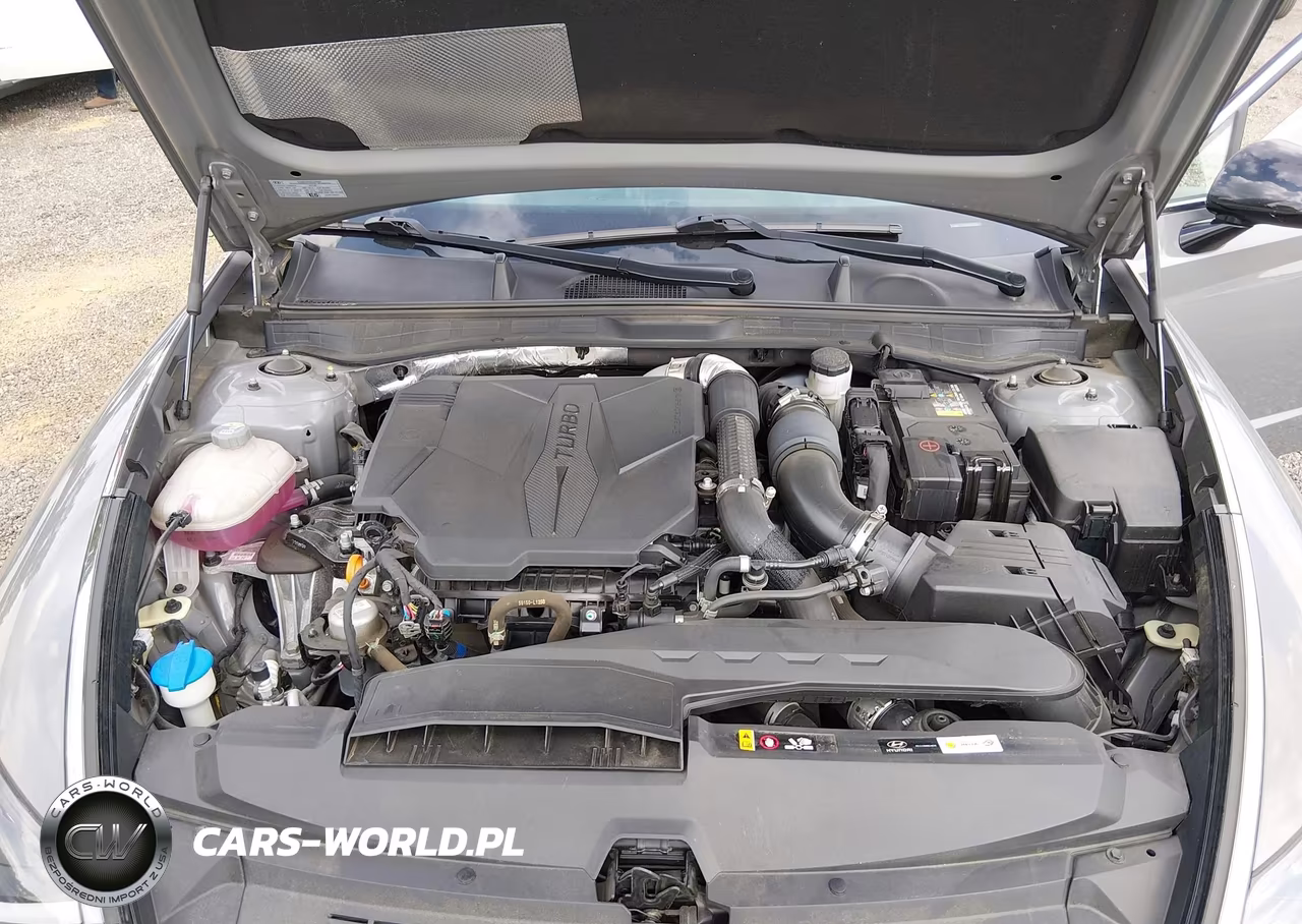 2023 Hyundai Sonata N Line VIN:KMHL14JC4PA256703 - 10
