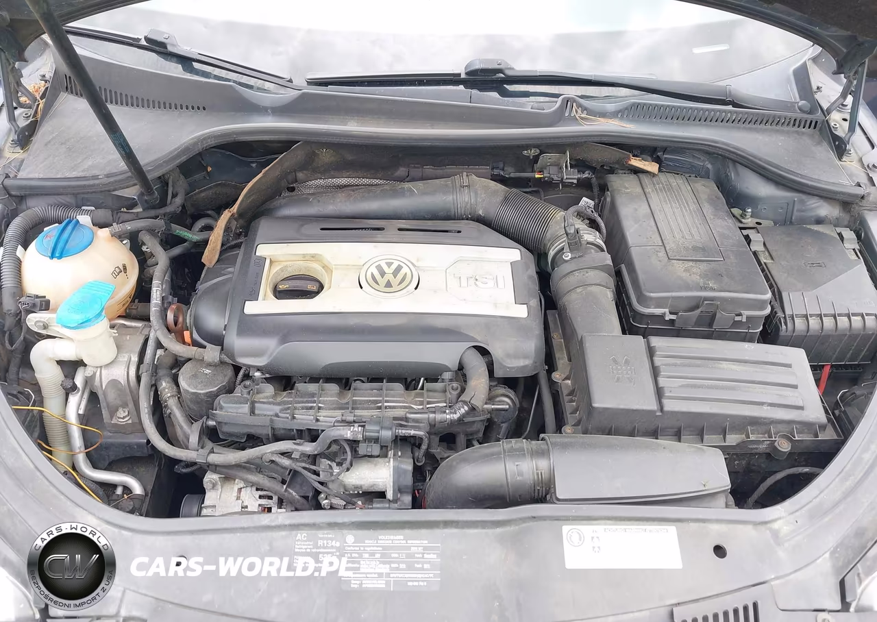 2010 Volkswagen Eos Lux VIN:WVWFA7AH0AV025828 - 10
