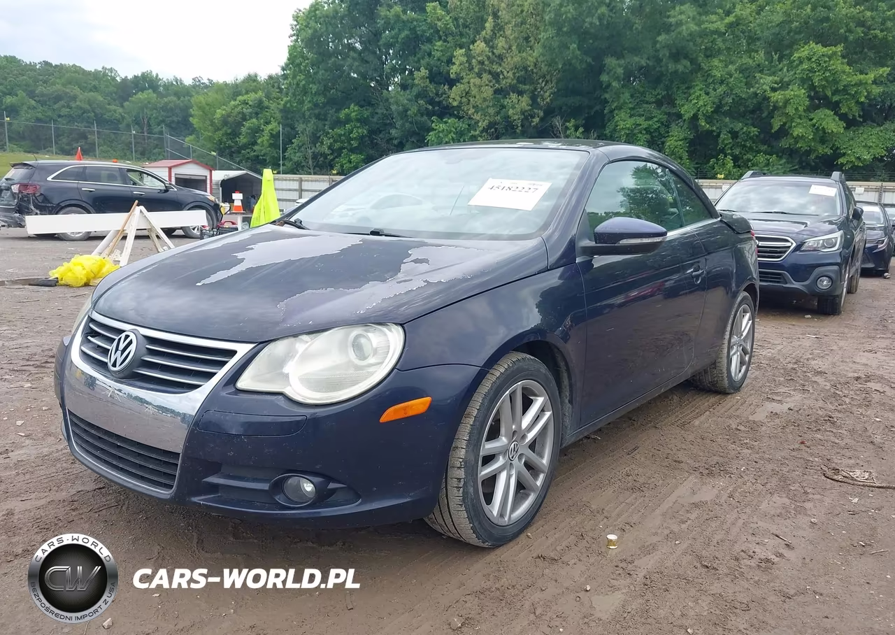 2010 Volkswagen Eos Lux VIN:WVWFA7AH0AV025828 - 2