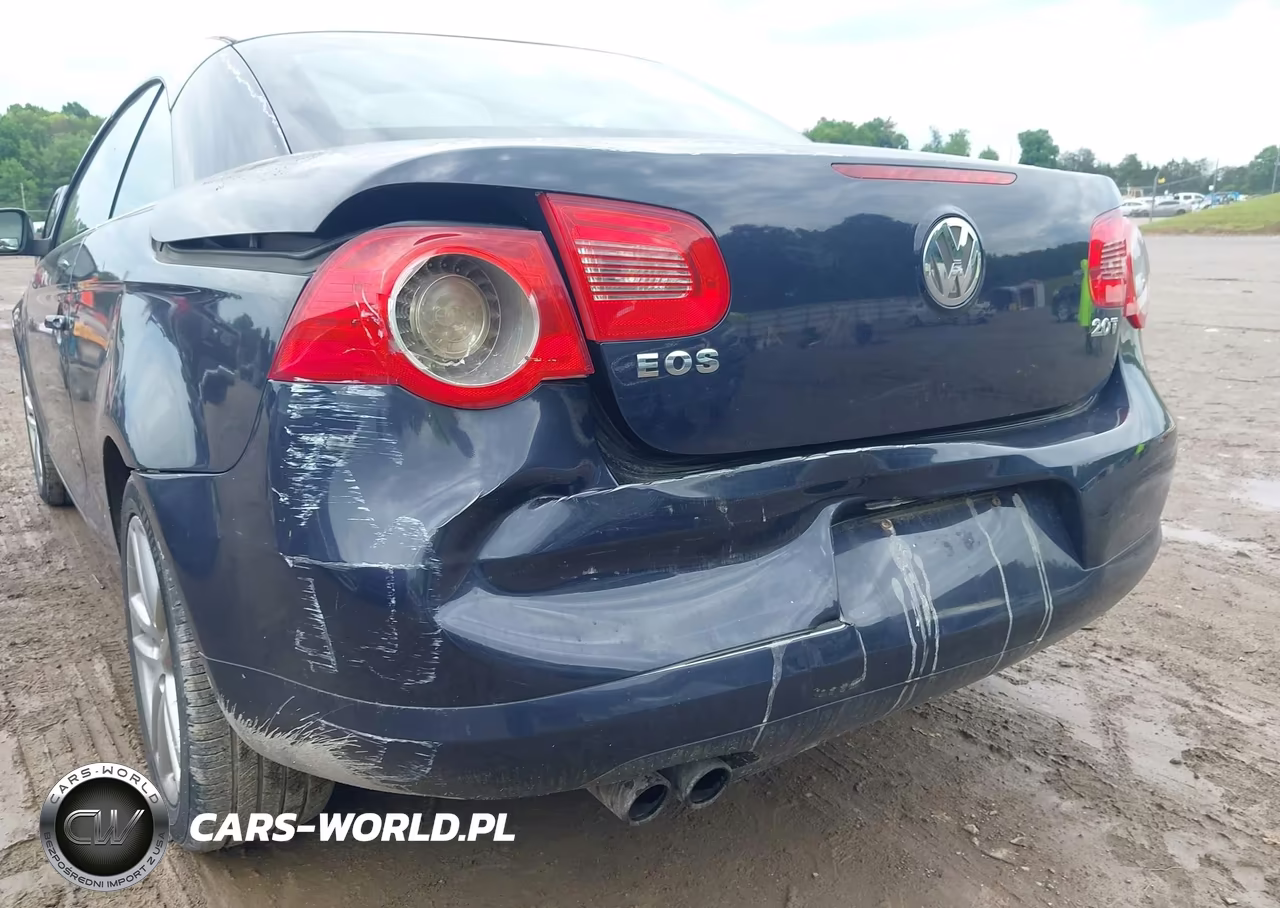 2010 Volkswagen Eos Lux VIN:WVWFA7AH0AV025828 - 6