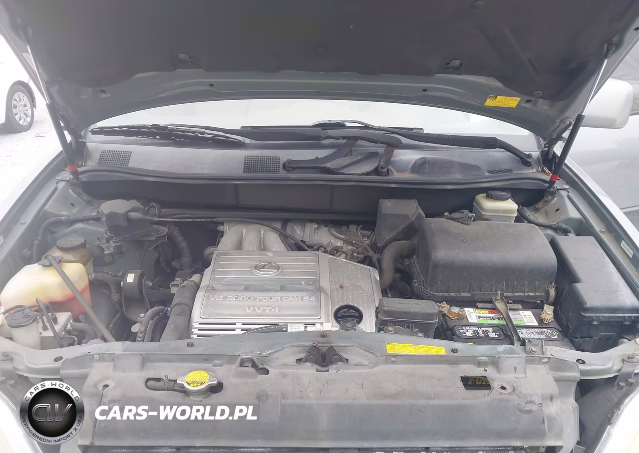 2002 Lexus Rx 300 VIN:JTJGF10U620127454 - 10