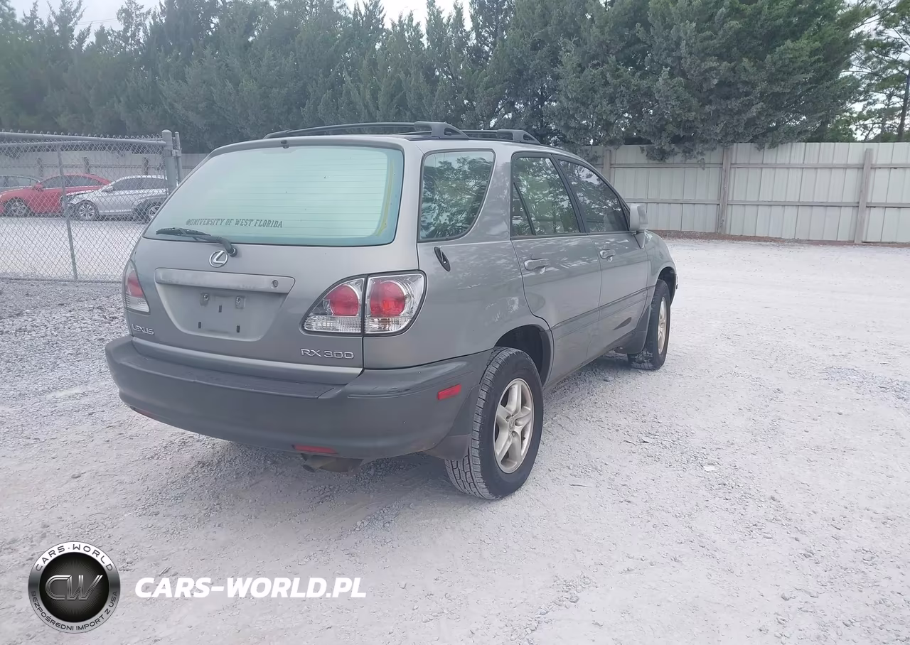 2002 Lexus Rx 300 VIN:JTJGF10U620127454 - 4