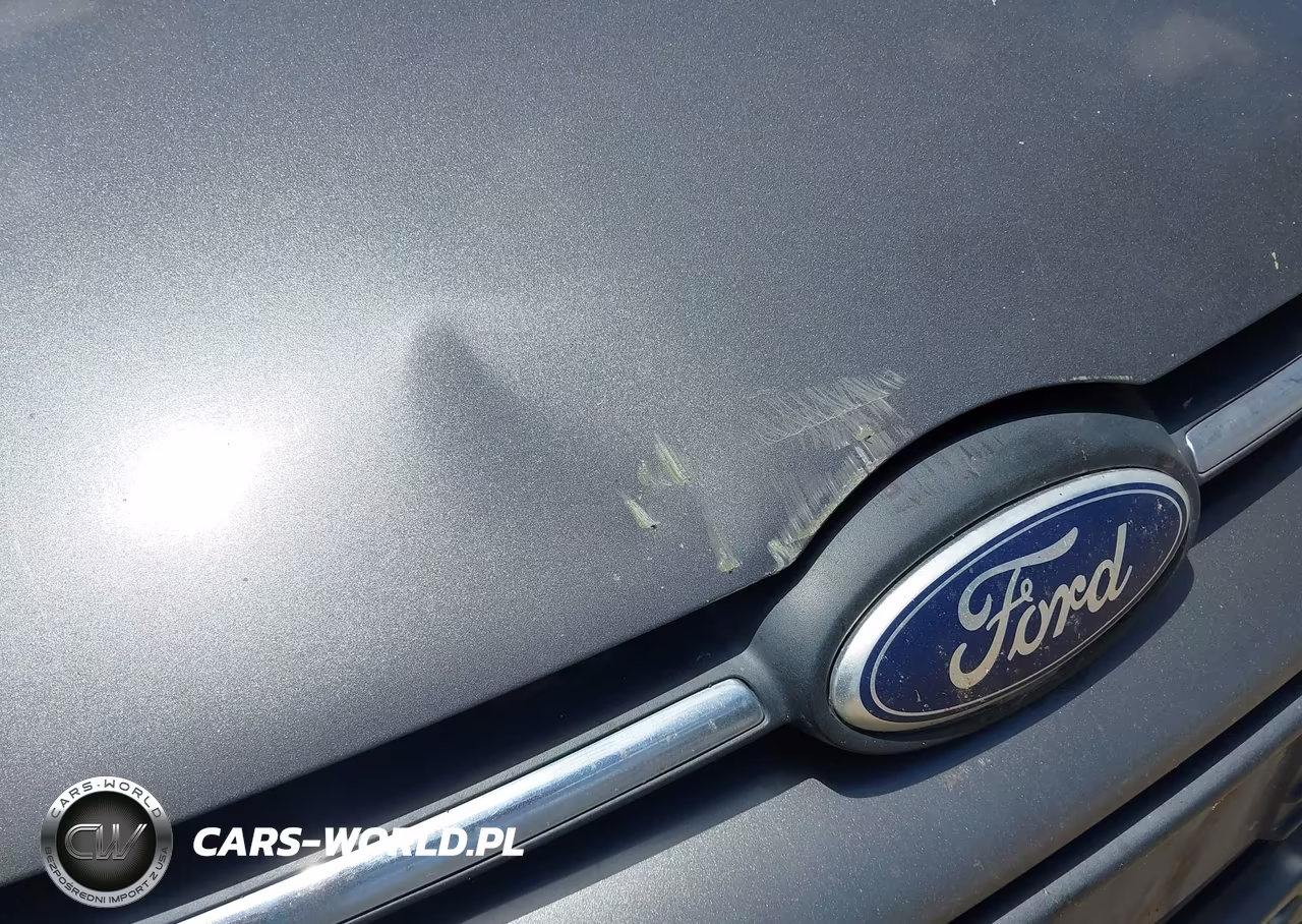 2013 Ford Focus Se VIN:1FADP3F23DL374426 - 12