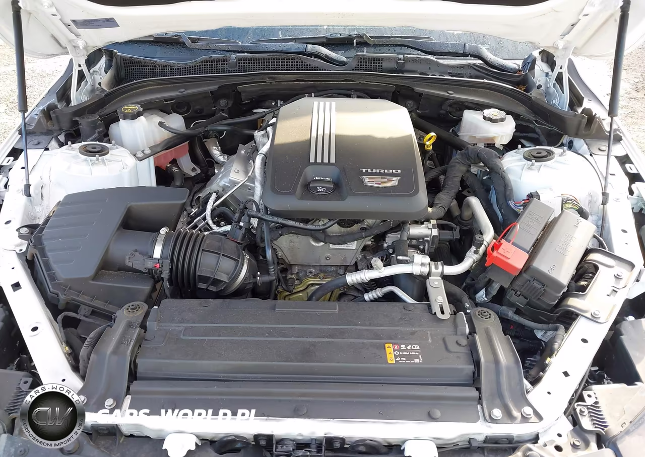 2024 Cadillac Ct4 Luxury VIN:1G6DA5RK0R0132210 - 10