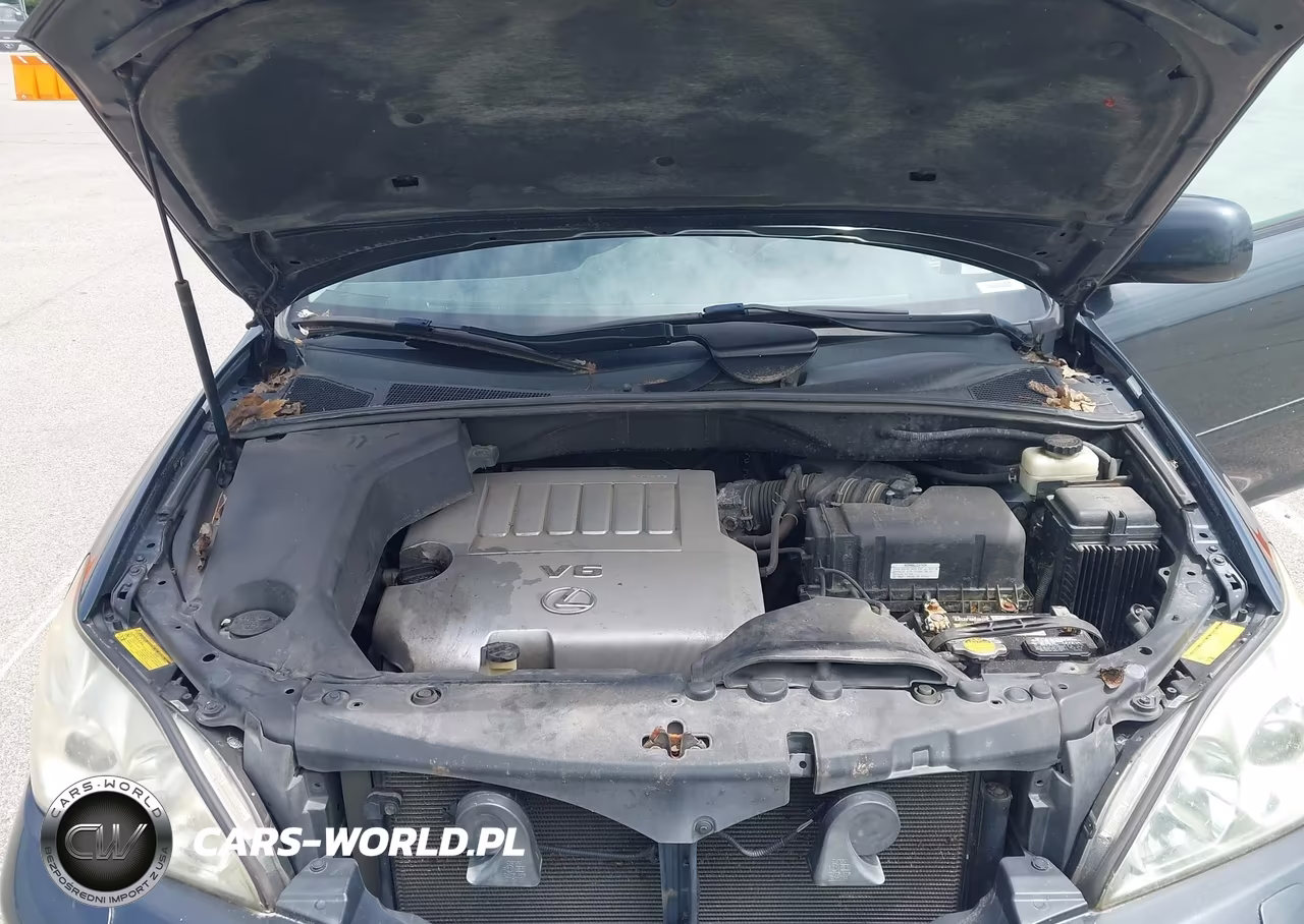 2007 Lexus Rx 350 VIN:2T2HK31U67C013086 - 10