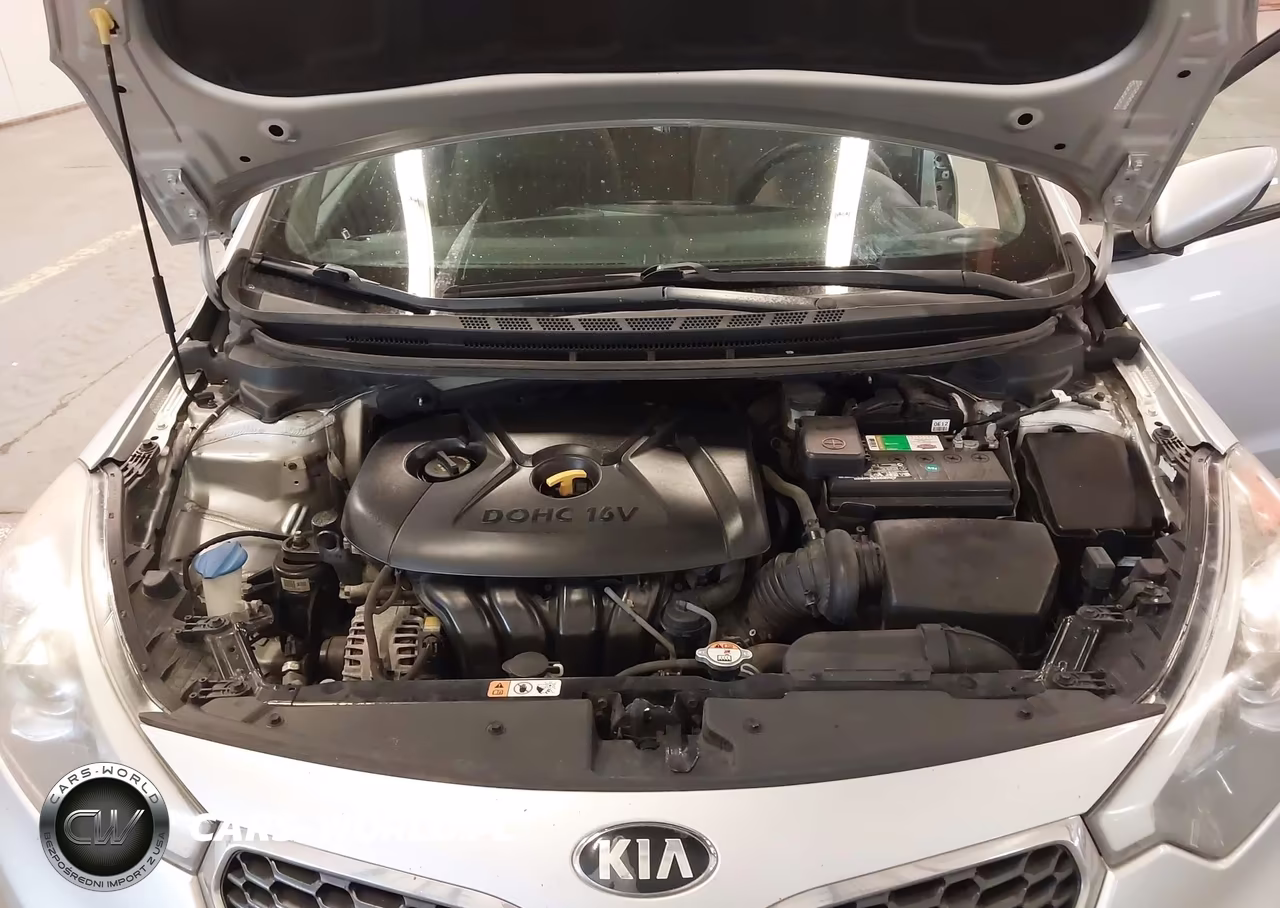 2015 Kia Forte Lx VIN:KNAFK4A61F5393336 - 10