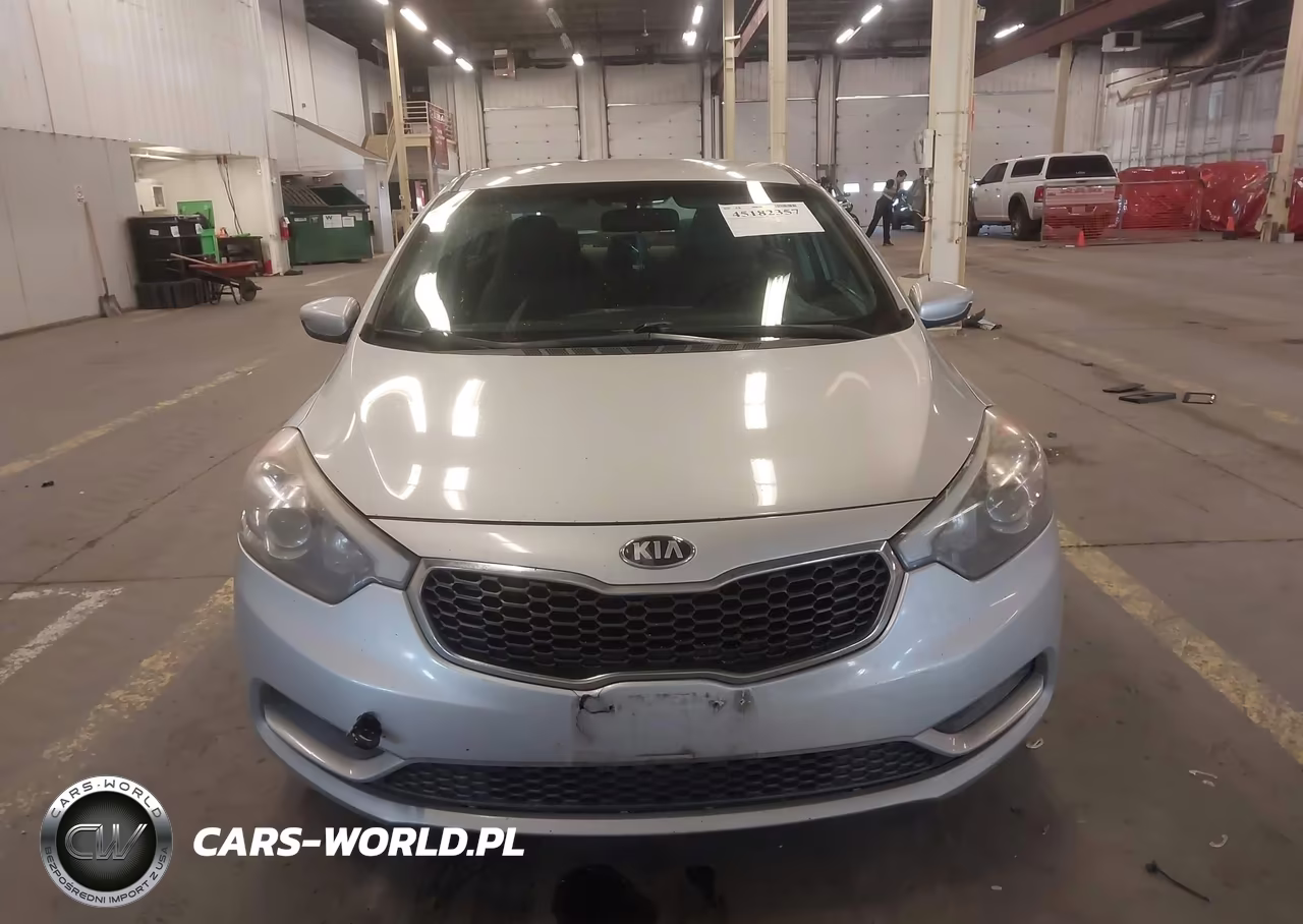 2015 Kia Forte Lx VIN:KNAFK4A61F5393336 - 13