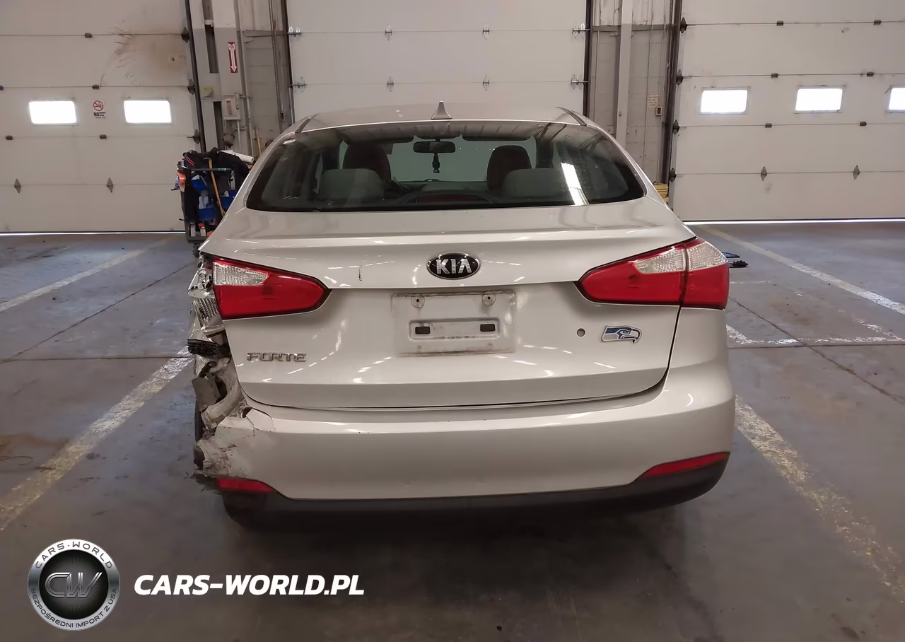 2015 Kia Forte Lx VIN:KNAFK4A61F5393336 - 17
