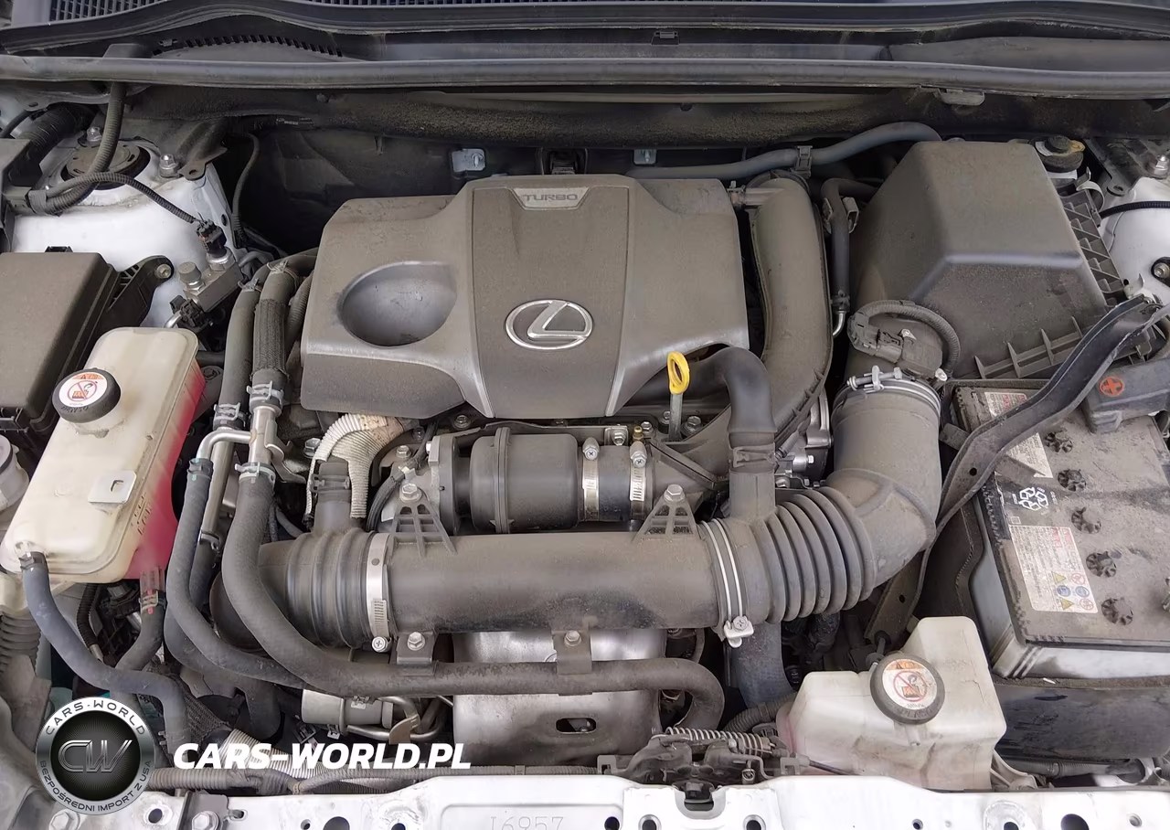 2020 Lexus Nx 300 F Sport VIN:JTJSARBZ8L5020071 - 10
