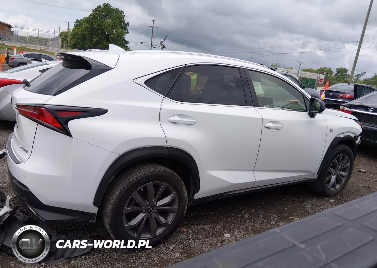 2020 Lexus Nx 300 F Sport VIN:JTJSARBZ8L5020071 - 14