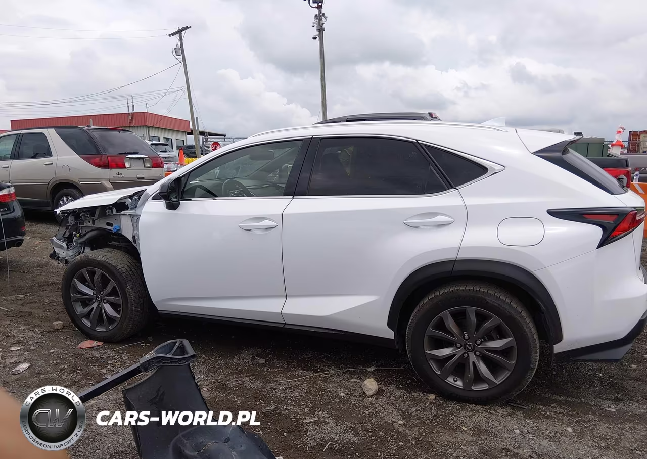 2020 Lexus Nx 300 F Sport VIN:JTJSARBZ8L5020071 - 15