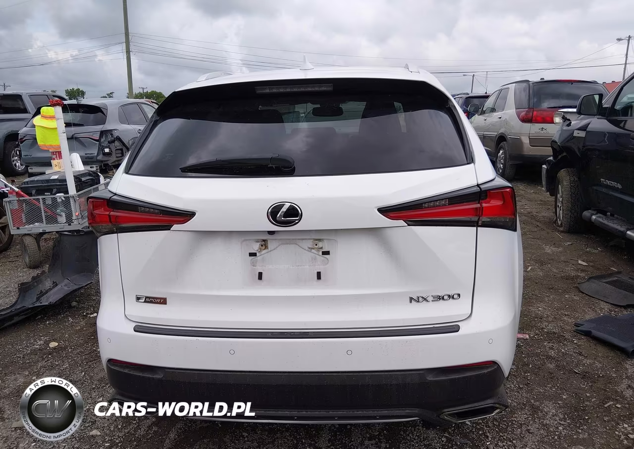 2020 Lexus Nx 300 F Sport VIN:JTJSARBZ8L5020071 - 17