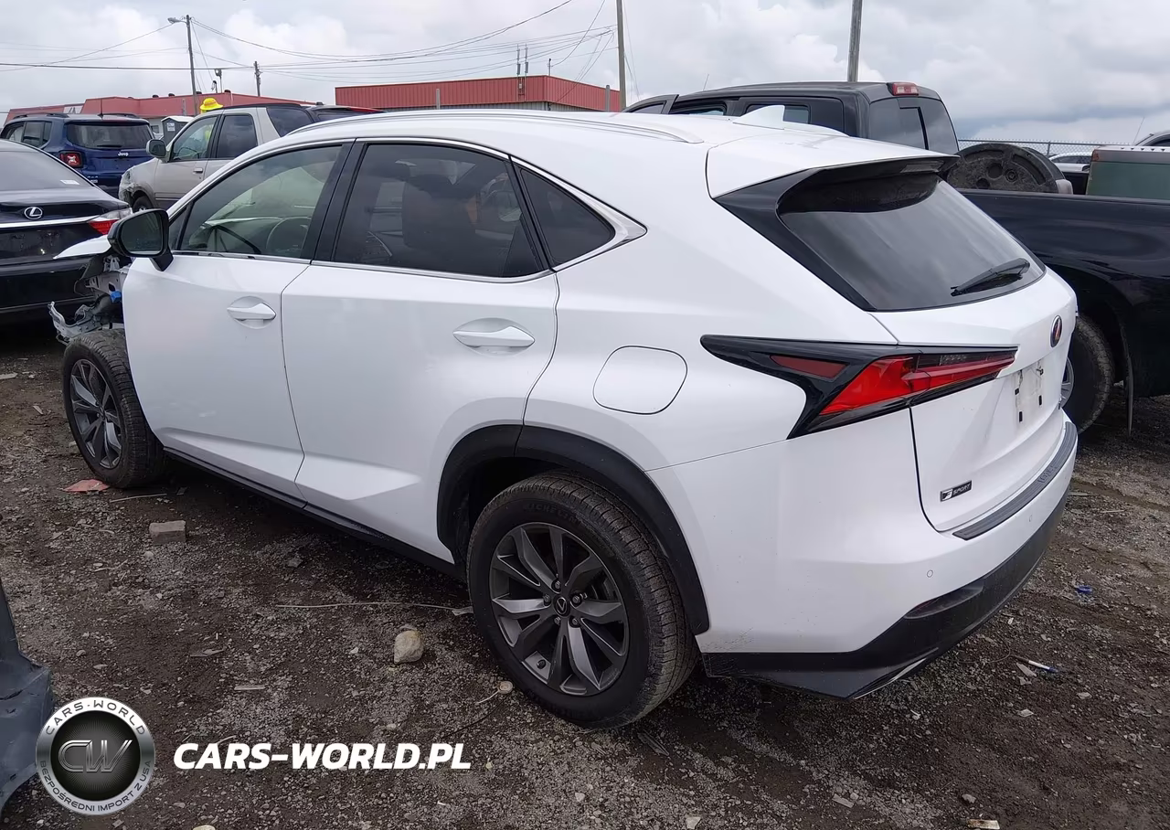 2020 Lexus Nx 300 F Sport VIN:JTJSARBZ8L5020071 - 3