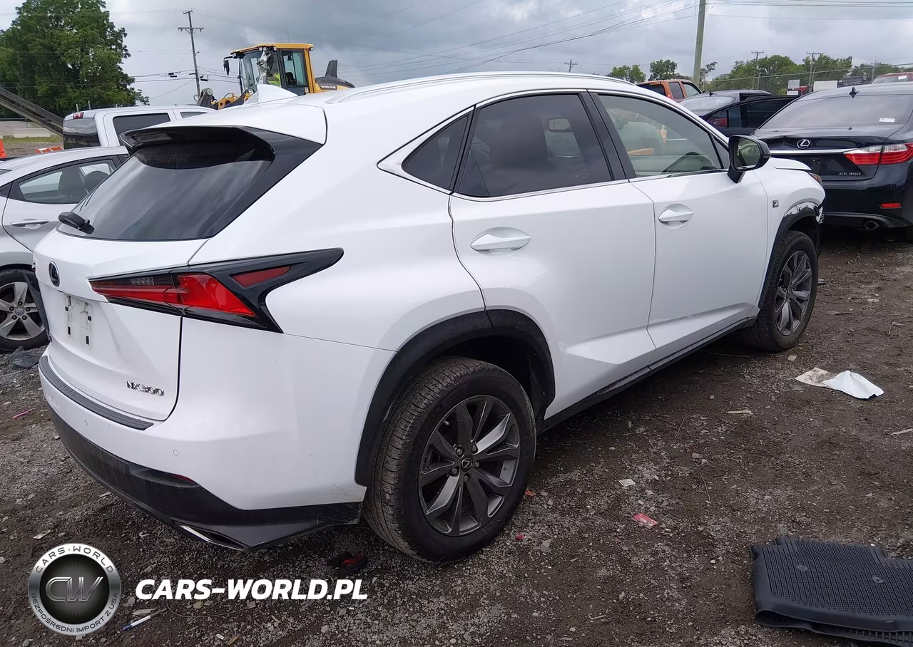 2020 Lexus Nx 300 F Sport VIN:JTJSARBZ8L5020071 - 4