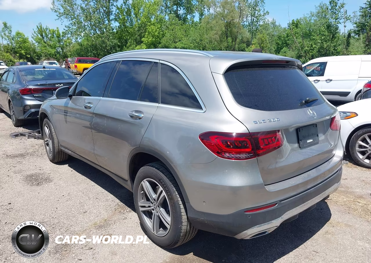 2020 Mercedes-Benz Glc 300 VIN:W1N0G8DB2LF827384 - 3
