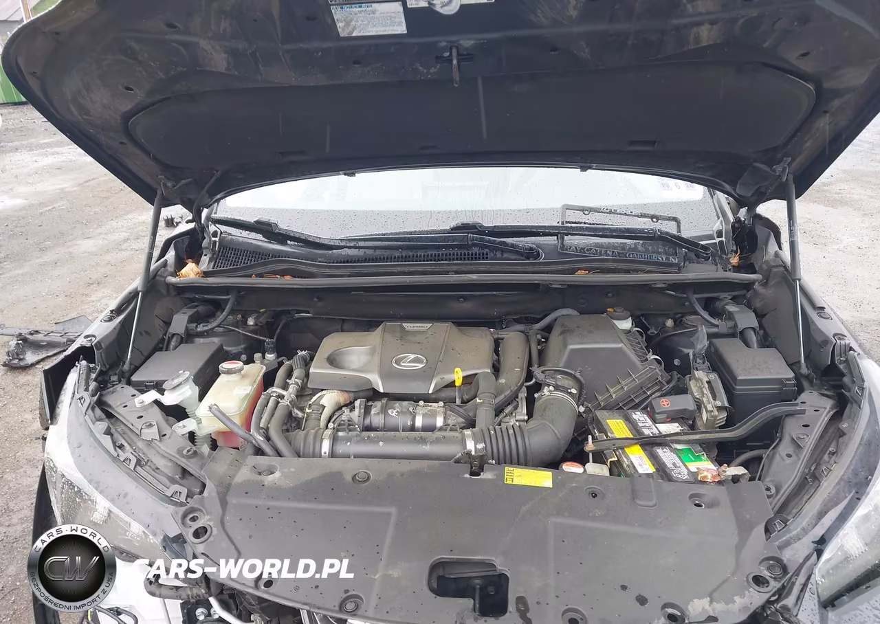 2015 Lexus Nx 200T VIN:JTJBARBZ7F2003333 - 10
