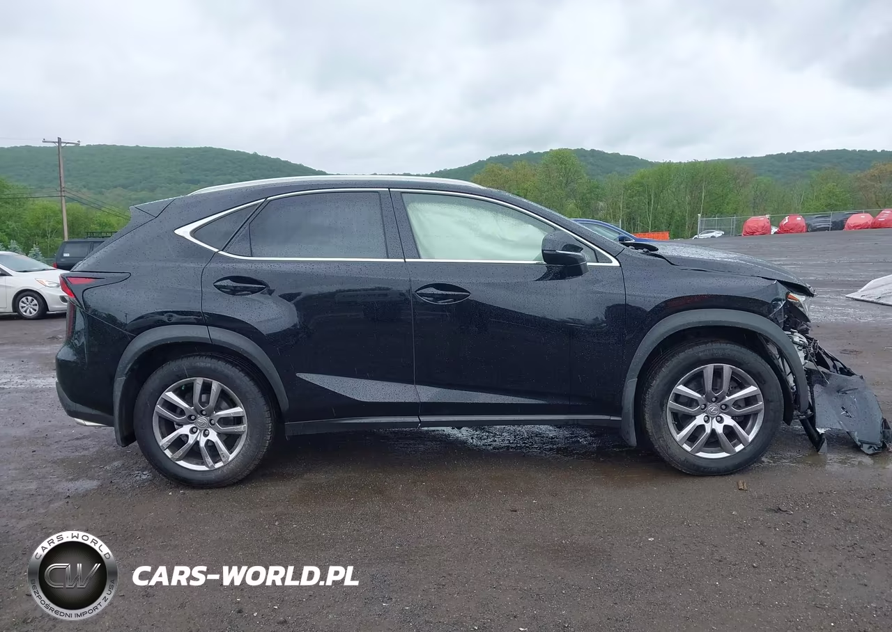 2015 Lexus Nx 200T VIN:JTJBARBZ7F2003333 - 14
