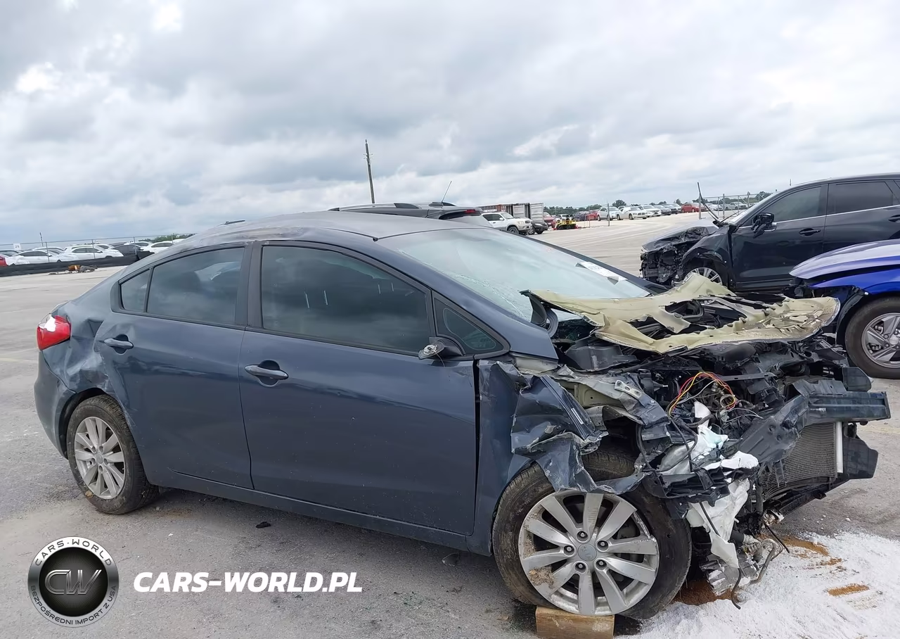 2015 Kia Forte Lx VIN:KNAFX4A66F5366831 - 13