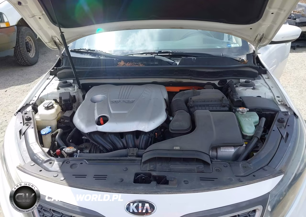 2015 Kia Optima Hybrid VIN:KNAGM4AD5F5084711 - 10
