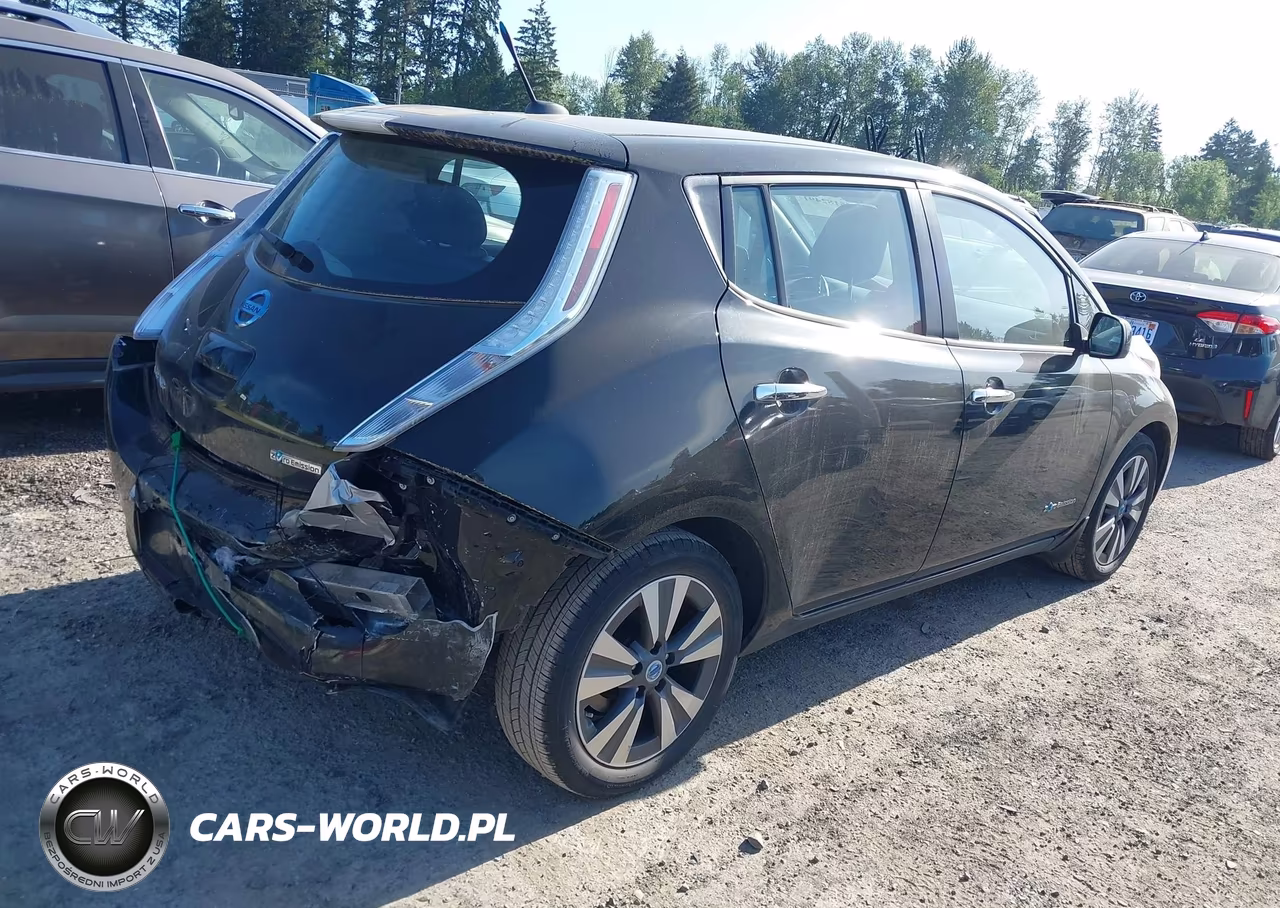 2014 Nissan Leaf Sl VIN:1N4AZ0CP0EC337735 - 4