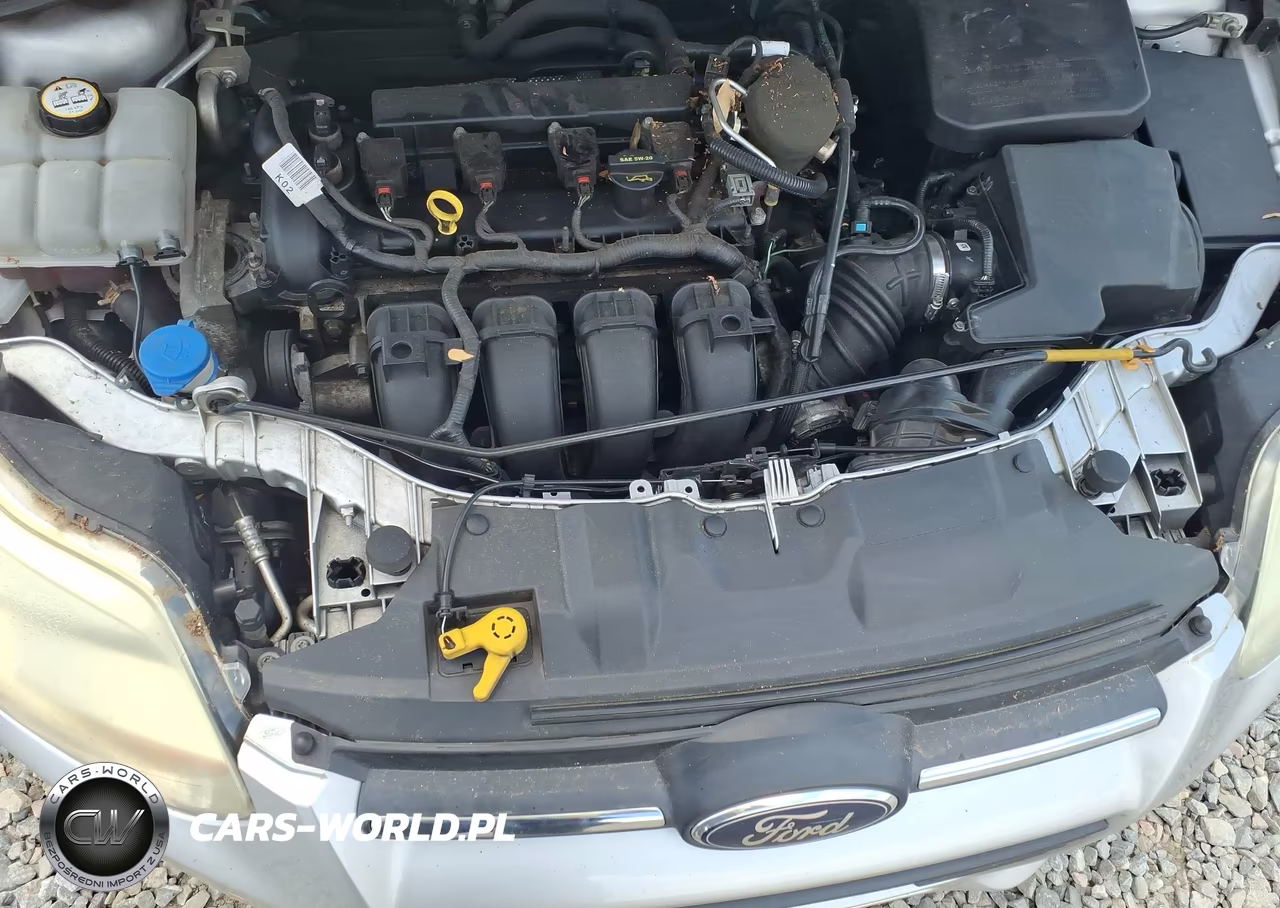 2014 Ford Focus Se VIN:1FADP3F21EL166126 - 10