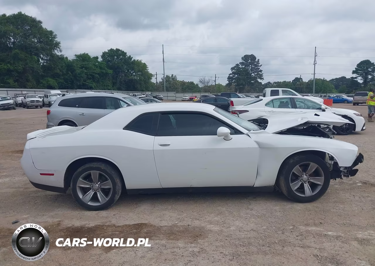 2019 Dodge Challenger Sxt VIN:2C3CDZAG2KH691293 - 13